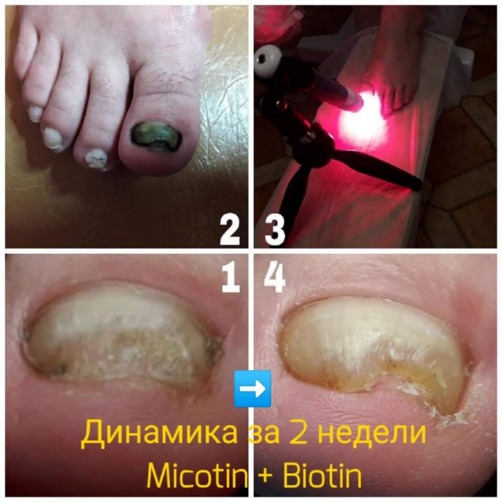 Заголовок